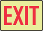Accuform Signs® 7" X 10" Red/White Glow-In-The-Dark Plastic Safety Sign "EXIT"