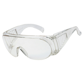 RADNOR™ Visitor Spec Series Clear Safety Glasses With Clear