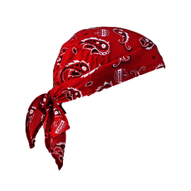 Ergodyne Red Chill-Its® 6710 Cotton/Polymer Cap/Hat