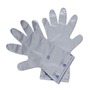 Honeywell Size 10 Silver 2.7 mil Chemical Resistant Gloves