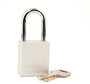 Reece Safety Silver Anodized Aluminum Padlock (Keyed Differently)