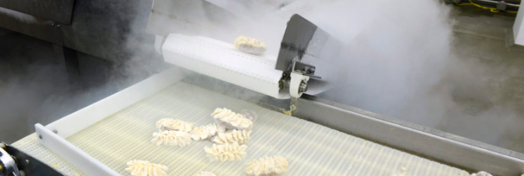 Frozen twice-baked potatoes on a food-freezing production line.