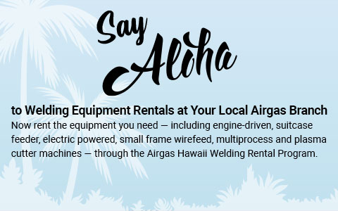 Pale blue Hawiian fauna and palm trees on a light-blue background