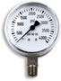 Miller® 2.5" Stainless Steel 4000 psi Pressure Gauge