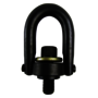 LiftAll® 4000 lb Capacity Hoist Ring