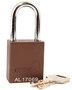 Reece Safety Brown Anodized Aluminum Padlock (Keyed Differently)
