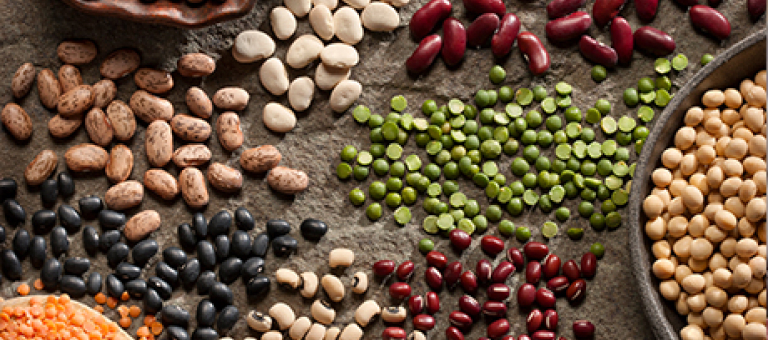 A photo of colorful plant-based protein alternatives on a table such as beans, peas, chickpeas, lentils & others.