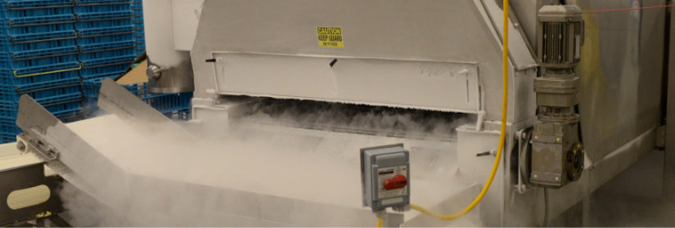 Cryogenic food freezing production system.