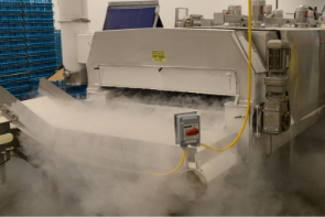 Cryogenic food freezing production system.