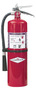 Amerex 10 lb B Fire Extinguisher