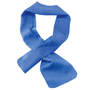 Ergodyne Blue Chill-Its® 6603 PVA Towel Band