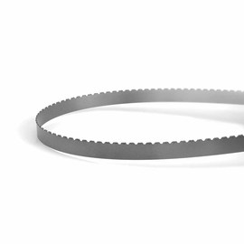 LENOX® MASTER-GRIT® 10' 4" X 1" X .035" Carbide Tipped Bandsaw Blade With Coarse Gulleted