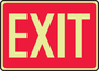 Accuform Signs® 10" X 14" White/Red Glow-in-The-Dark Plastic Safety Sign "EXIT"