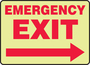 Accuform Signs® 10" X 14" White/Red Glow-in-The-Dark Plastic Safety Sign "EMERGENCY EXIT"