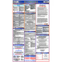 NMC™ 39" X 27" Multi 0.004" Laminated Paper Labor Laws Poster "TENNESSEE"