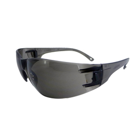 RADNOR™ Classic Gray Safety Glasses With Gray Anti-Fog/Anti-Scratch Lens