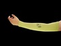 Ansell 18” Length Yellow HyFlex® Kevlar® Industrial Cut Resistant Sleeves