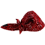 Ergodyne Red Chill-Its® 6710CT Cotton/PVA Hat