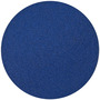 Norton® 10" Dia 40 Grit BlueFire Zirconia Alumina PSA Disc