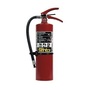 Ansul® Model AA05S-1 Sentry® 5 lb ABC Fire Extinguisher