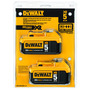 DEWALT® Premium XR® 20 Volt Max* Lithium-Ion Battery (2 Per Pack)