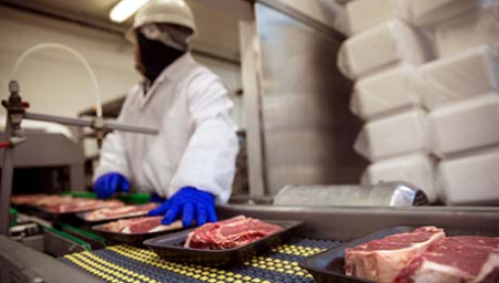 Food industry professional monitors yet--to-be-wrapped steaks on a meat packaging line.