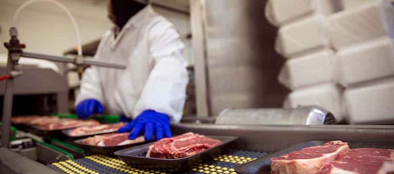 Food industry professional monitors yet--to-be-wrapped steaks on a meat packaging line.