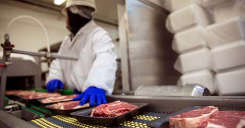 Food industry professional monitors yet--to-be-wrapped steaks on a meat packaging line.