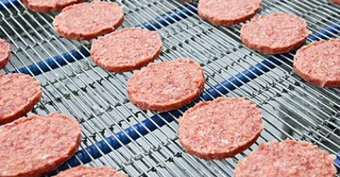 Multiple rows of meat patties on a food production line.