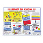 Brady® 18" X 24" Black, Blue, Red And Yellow On White Paper Safety Poster "RIGHT TO KNOW UNDERSTANDING MATERIAL SAFETY DATA SHEETSÃ¢â‚¬Â¦etc"
