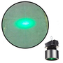 Visual Workplace Inc 40W Green Spotlight Safety LED Projector