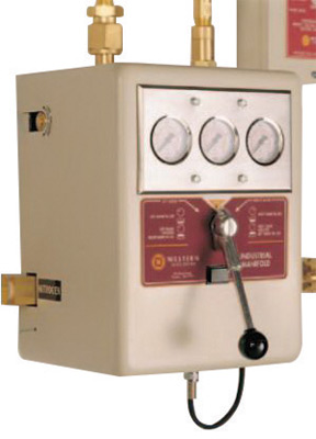 Western Enterprises PF2-4-72 Stainless Steel Flexible Pigtail - 3,000 PSIG, 0.5 Length, Dual Female