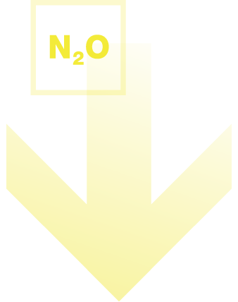 N2O